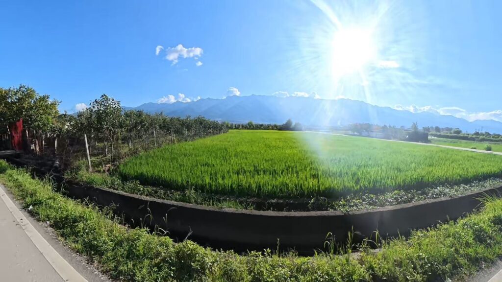 Campos de arroz al pie de la montaña