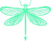 Dragonfly Hub Agency